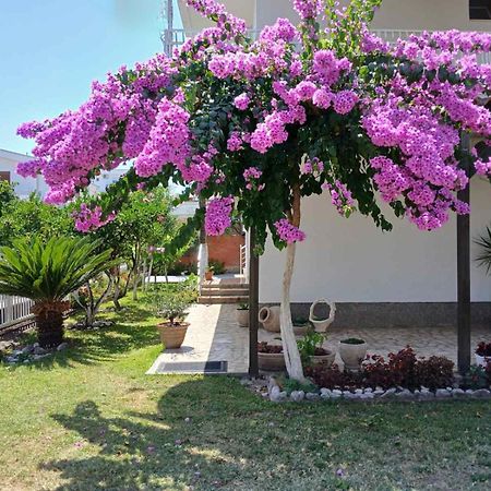 Vila Adriatik Улцинь Екстер'єр фото